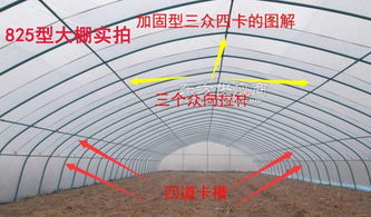 鋼管大棚支架 選對(duì)生產(chǎn)廠家與材質(zhì)的重要性